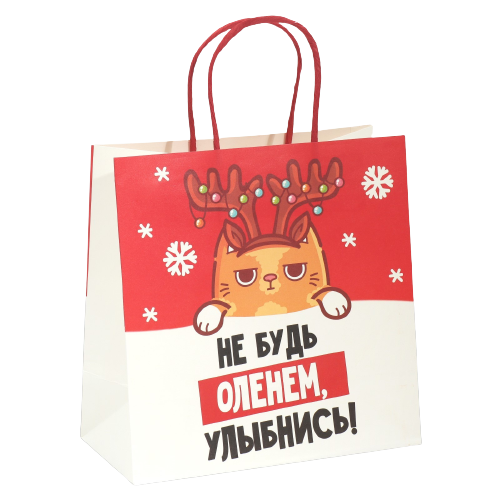 Geschenkpaket Sei kein Elch, 22 x 22 x 11 cm
