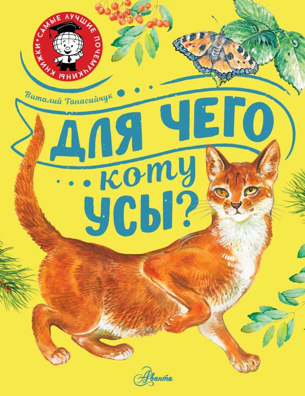 Why Do Cats Have Whiskers?