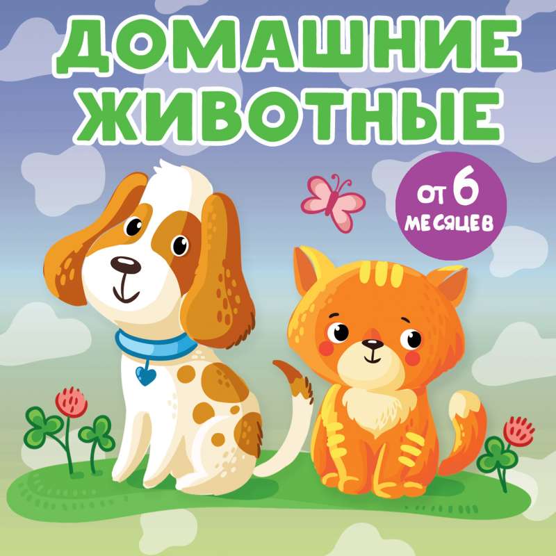 Pets