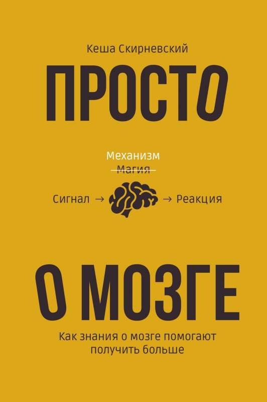 Simply about the brain. How knowledge about the brain helps to achieve more