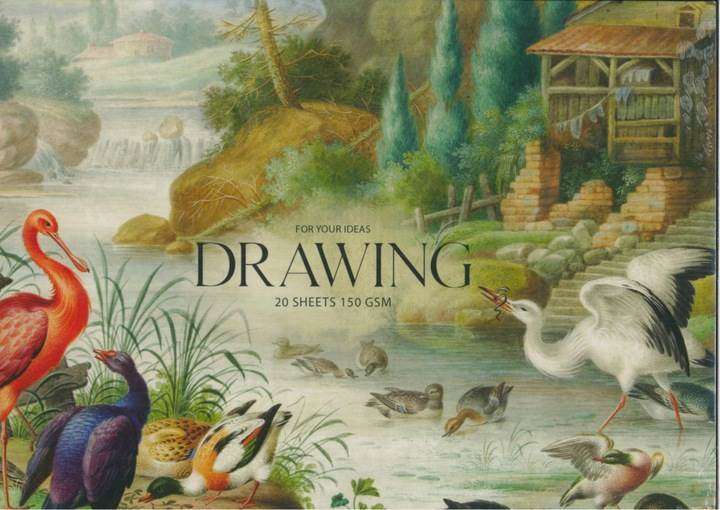 Zīmēšanas albums A4+ DRAWING, 20 lapas