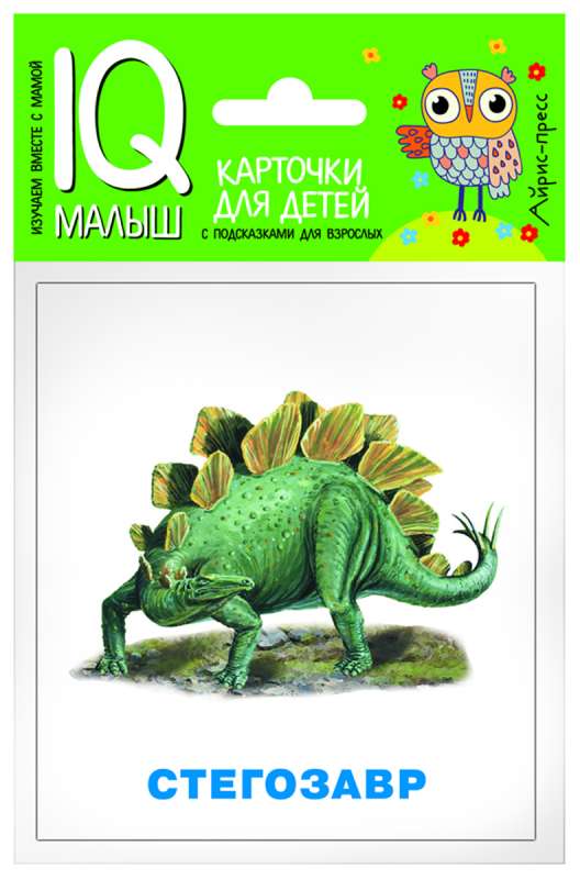 Gudrais mazulis. Dinosauri. Kartīšu komplekts bērniem.