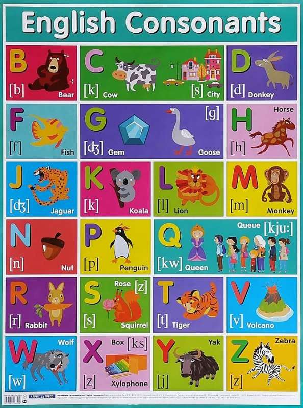 Plakat - Ingliskeelsed kaashäälikud. English Consonants