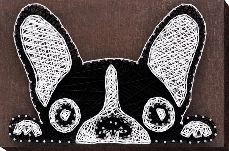 String-art komplekts - Francūžu buldogs