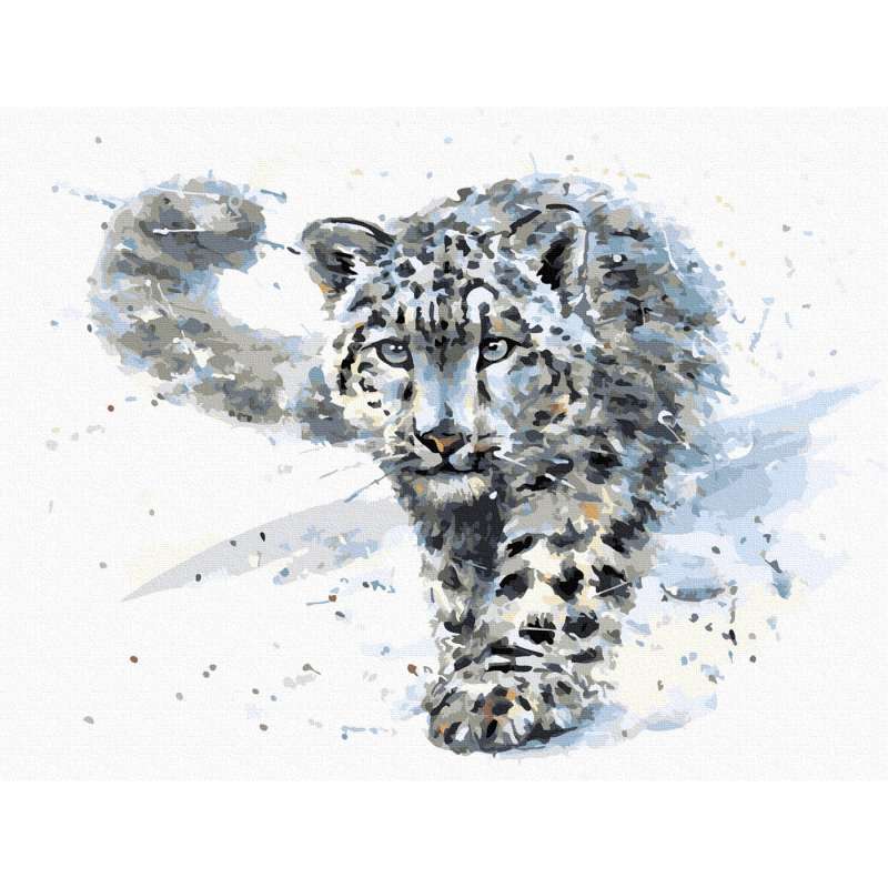 Paint by numbers - Snow Leopard, colored canvas, 30x40cm