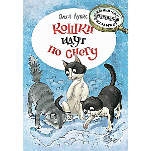 Katės eina sniege