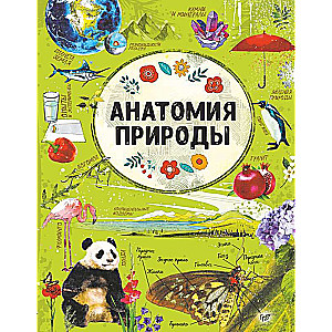 Dabas anatomija