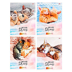 Notebook - Cat Tenderness, A5, 96 sheets, grid, assorted