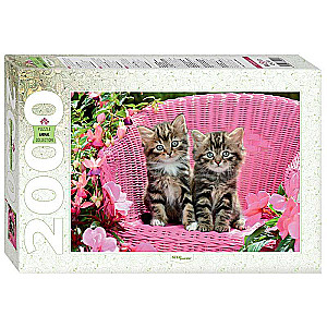 Puzzle 2000 - Urocze kociaki