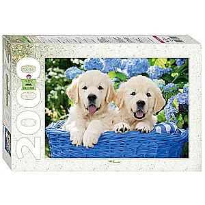 Puzzle 2000 Szczeniaki w koszyku