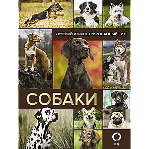 Собаки. Лучший иллюстрированный гид