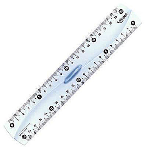 20cm Ruler with Holder