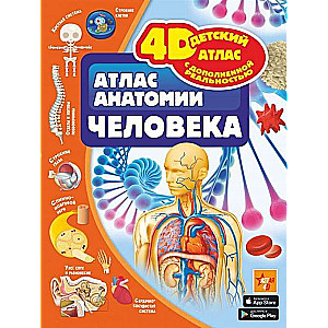 Cilvēka anatomijas atlants