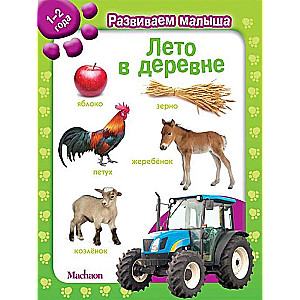 Vasara ciematā