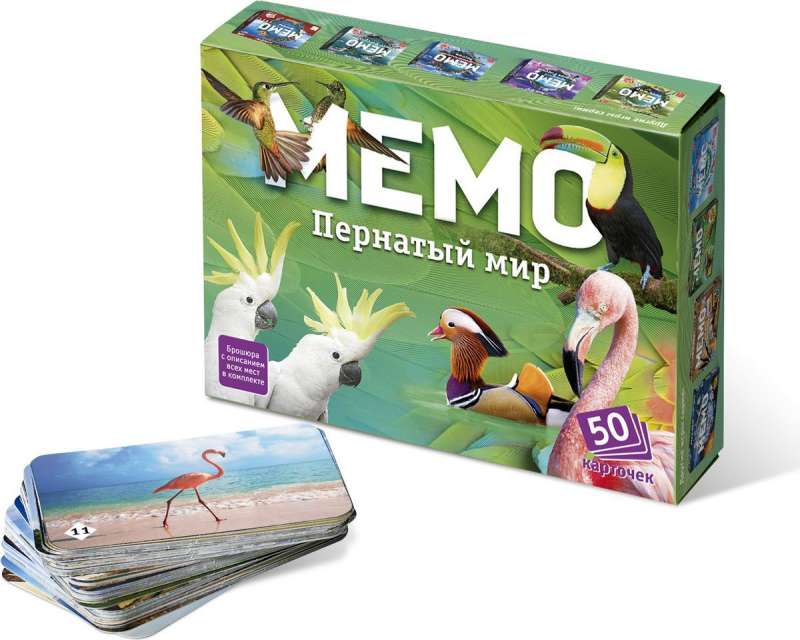 Board Game - Memo. Feathered World