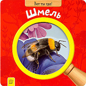 Lūk, kur tu esi! Ziedputekšņi