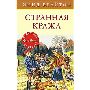 Dīvainā zādzība