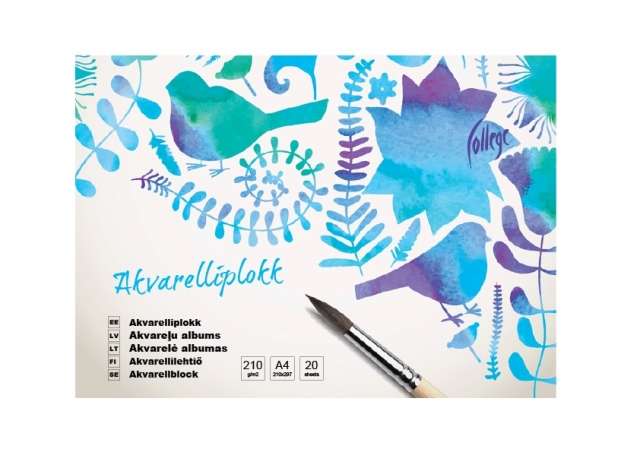 Album do akwareli College A4, 20 stron
