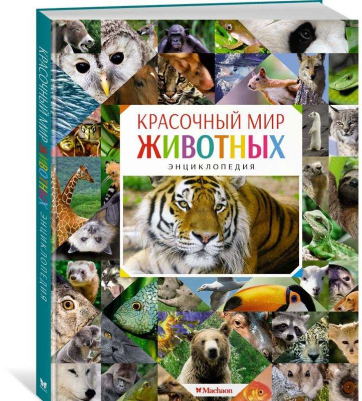 Krāsainā dzīvnieku pasaule