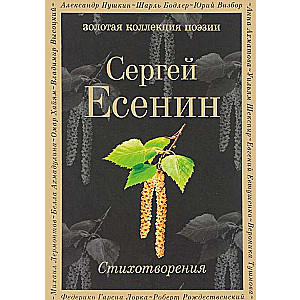 Dzejas