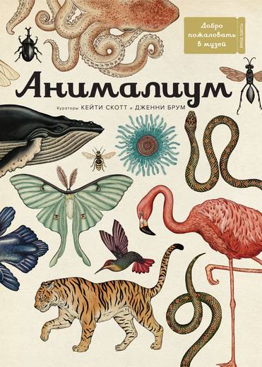 Amināliums