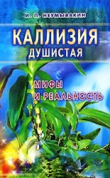 Каллизия душистая. Золотой ус. Мифы и реальность