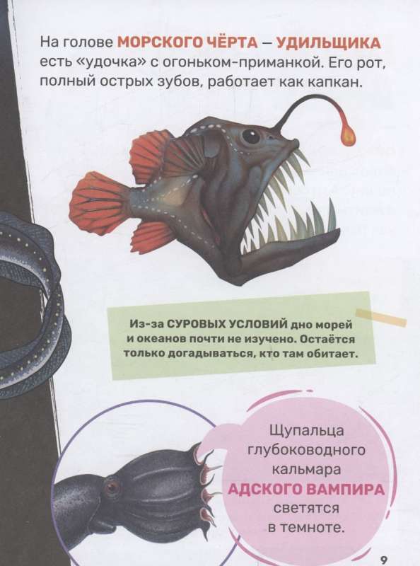 Podwodny świat. Pierwsza encyklopedia malucha