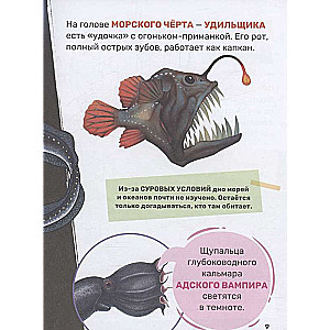Podwodny świat. Pierwsza encyklopedia malucha