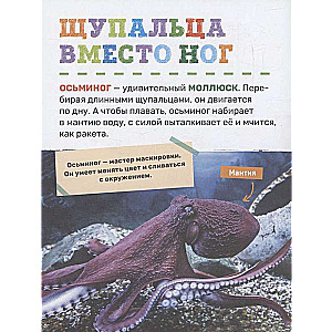 Podwodny świat. Pierwsza encyklopedia malucha