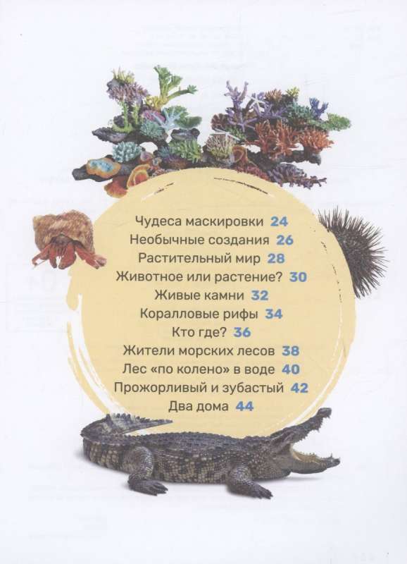 Podwodny świat. Pierwsza encyklopedia malucha