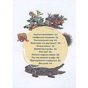 Podwodny świat. Pierwsza encyklopedia malucha
