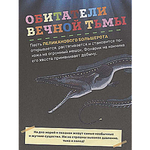 Podwodny świat. Pierwsza encyklopedia malucha