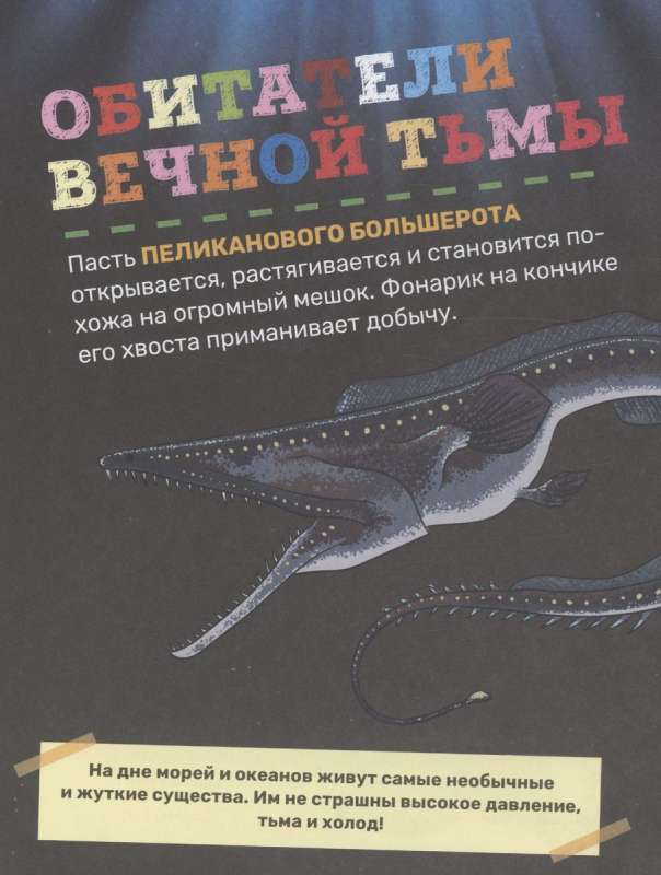 Podwodny świat. Pierwsza encyklopedia malucha