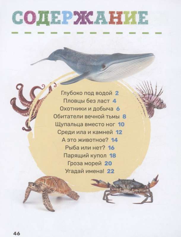 Podwodny świat. Pierwsza encyklopedia malucha