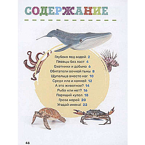 Podwodny świat. Pierwsza encyklopedia malucha