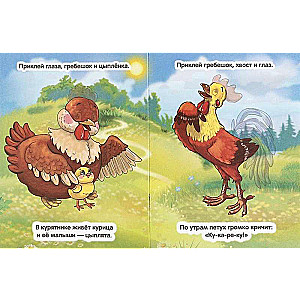 Zwierzęta domowe