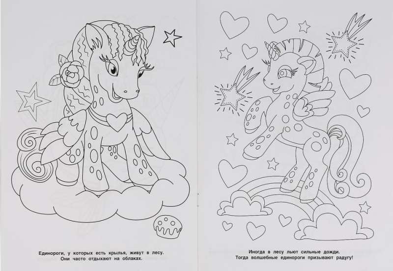 Magic Animals