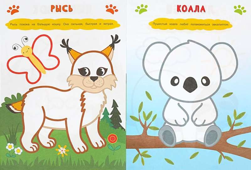 Puchate zwierzęta
