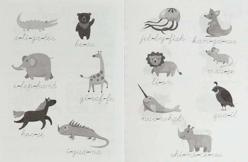 Writing Syllables. English Language