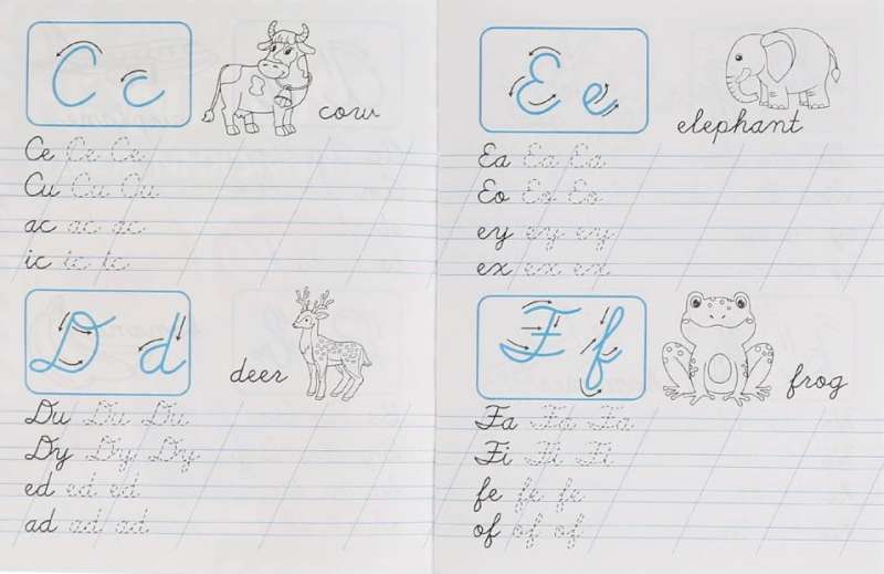 Writing Syllables. English Language