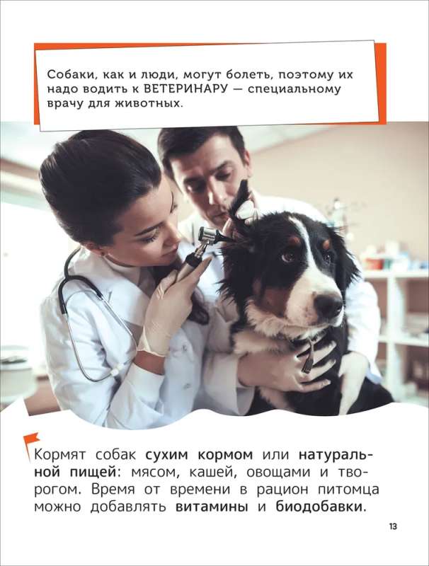 Zwierzęta domowe