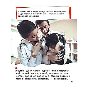 Zwierzęta domowe