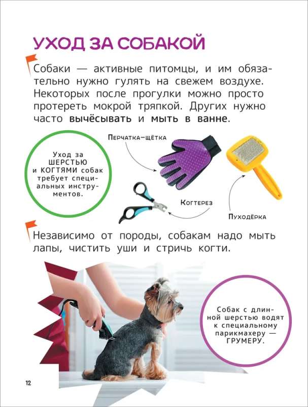 Zwierzęta domowe