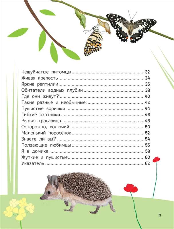Zwierzęta domowe