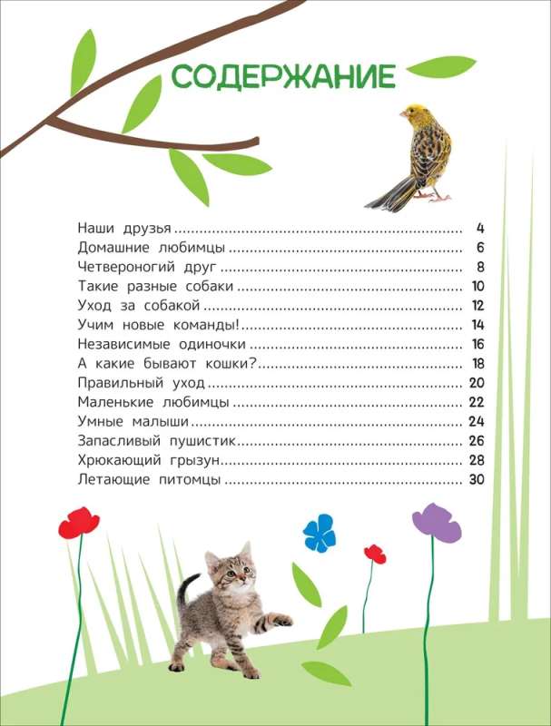 Zwierzęta domowe