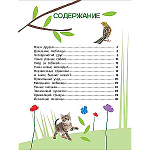 Zwierzęta domowe