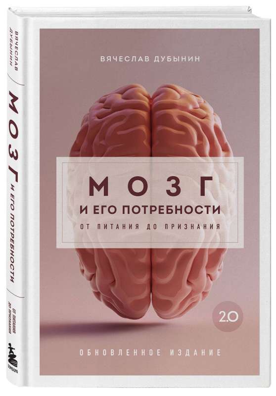 The Brain and Its Needs 2.0. From Nutrition to Recognition