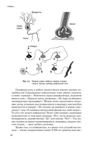 The Brain and Its Needs 2.0. From Nutrition to Recognition
