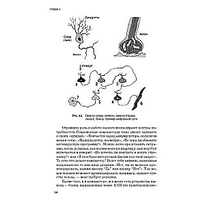 The Brain and Its Needs 2.0. From Nutrition to Recognition