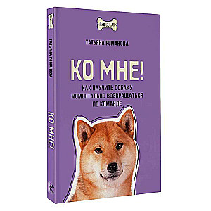 Do mnie! Jak nauczyć psa natychmiastowego powrotu na komendę